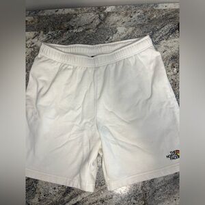 Men’s The North Face pride sweat shorts. Large.
